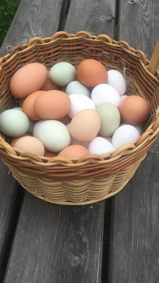 Ferienhof Weber Nieratz Wangen im Allgäu Exterior foto