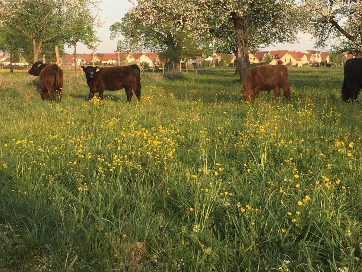 Ferienhof Weber Nieratz Wangen im Allgäu Exterior foto