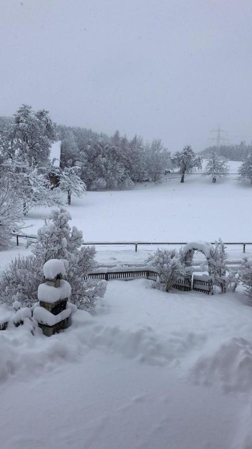 Ferienhof Weber Nieratz Wangen im Allgäu Exterior foto