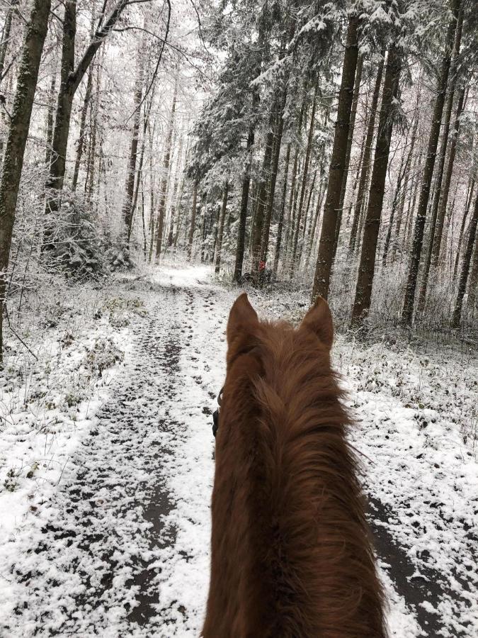 Ferienhof Weber Nieratz Wangen im Allgäu Exterior foto